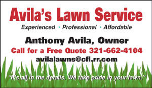 avilaslawn.jpg